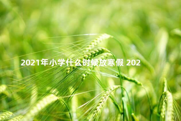 2021年小学什么时候放寒假 2022年小学什么时候放寒假